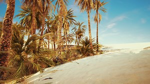 Inside view of the oasis in Tunisia
