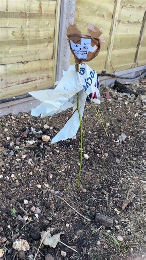 Everyone needs one of these to keep the cats away!