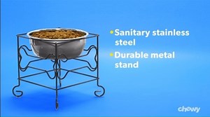 Watch Learn More About YML From Our Team of Experts on Amazon Live