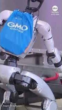 Japanese airport trials robot baggage handler