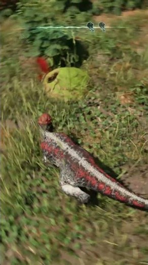 Pachy goes Cram! - The Isle Evrima #shorts #theisle #theisleevrima