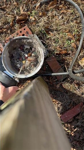 ✨ From rough to radiant ✨‪@TumbledbyNature‬