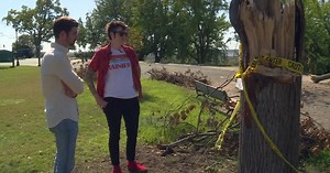 Richmond says they won't release records about tree that killed city employee