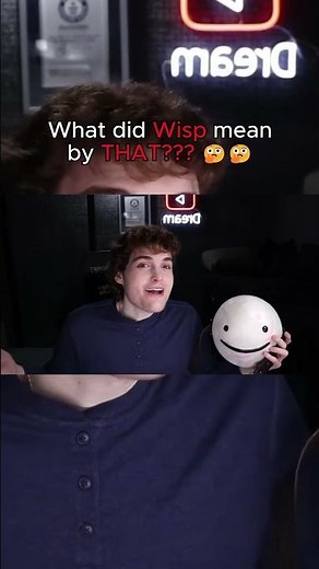 Did WISP predict the future?? #wisp #minecraft #dream #funny #memes