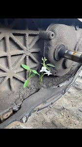 Sound of CVT broken parts #fblifestyle | OAS Cycle Center