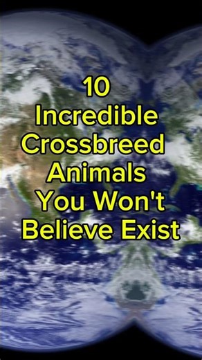 10 Hybrid Animals You Won't Believe Actually Exist!