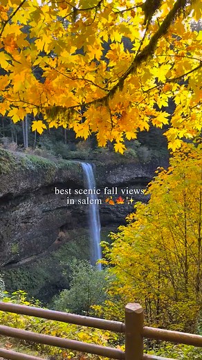 1.2K views · 29 reactions | We visited your favorite scenic fall views in the Salem region! From strolls in Minto Brown Island Park to views from the Oregon Garden and waterfalls at Silver Falls, we're sure enjoying fall in the region. ✨ Where's your favorite spot for fall views? #TravelSalem #SalemIsMOPO | Travel Salem | Facebook