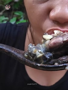 98K views · 1.1K reactions | In forest, Catching Turtle & Cooking for lunch Part 12 | Jungle Food TV | Facebook