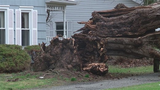 Strong storms create damage in Mount Gilead | Haystack News