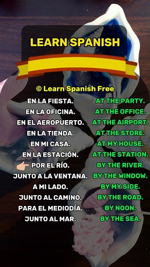 Learn Spanish Free Beginner in Spanish? Subscribe to level up fast! #spanishquiz #learnspanish #LearnSpanish #easyspanish #spanishlessons | Learn Spanish Free