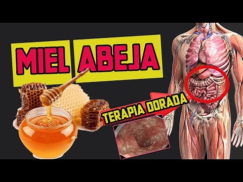 ENFERMEDADES que SANAN con MIEL DE ABEJA (CÓMO USARLO)