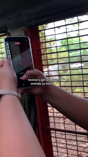 Forever a Girl Who Loves Animals: Heartwarming Moments