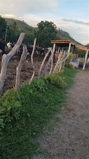 Momentos bonitos | Jonathan Arevalo