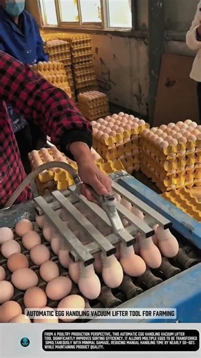 Automatic Egg Handling Vacuum Lifter Tool for Farming #tools