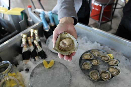 Bluff Oyster & Food Festival | Southland, New Zealand