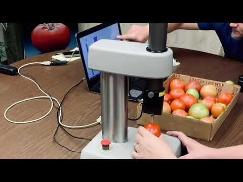 Fruit Firmness Tester (FTA) testing Tomato Maturity | Tomato Firmness Test | Benchtop Penetrometers