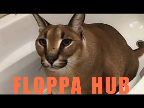 [YOU VS HOMER/SCRIPT] YOU VS HOMER FLOPPA HUB BEST YOU VS HOMER SCRIPT