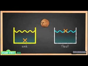 Sesame Street Science Sink or Float START THE EXPERIMENT HERE2