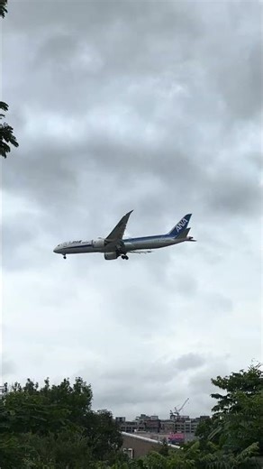 全日本空輸 All Nippon Airways 787-9(JA896A) NH-853 羽田(HND)→松山(TSA) approaching TSA