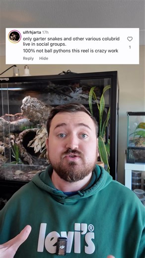 Ball pythons are more social than garter snakes?