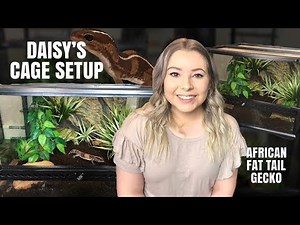 SETTING UP MY AFRICAN FAT-TAILED GECKOS CAGE! (Step By Step!)