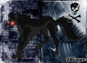 Viper | Wiki | Night Howlers (Wolf) Amino