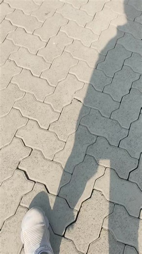 17 reactions · 16 comments | Hey Tribe Shadows change with the light, yet the story remains the same — growth, movement, and becoming. #LifeInMotion #GlobalReflections #LightAndShadow #GrowthJourney #IrenesCorner | Irene's corner | Facebook