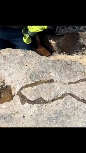 Treasure hunt on TikTok