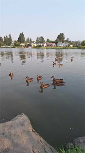 Suave_slob (@suave_slob3)’s videos with original sound - Suave_slob