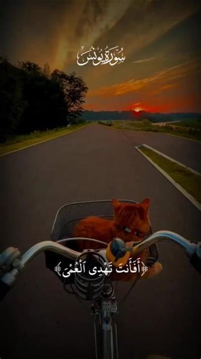 سورة يونس #قرآن #القرآن_الكريم #shorts