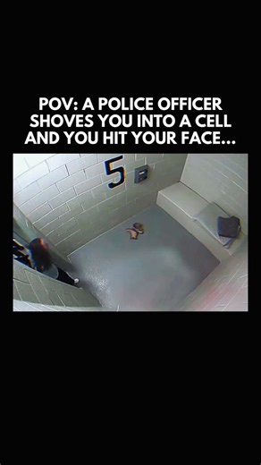 In March 2013, Cassandra Feuerstein, age 47, was arrested in Skokie, Illinois after police found her asleep in her car and suspected DUI. While being processed at the Skokie Police Department, surveillance footage showed Officer Michael Hart forcefully shoving her backward into a holding cell when she didn’t immediately turn to face the camera for her mugshot. She hit her face and head against an unpadded concrete bench inside the cell.As a result, Feuerstein suffered a broken orbital bone, nerv