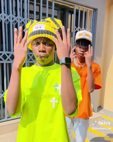 Zvekutamba: Zim TikTok Fun and Laughter