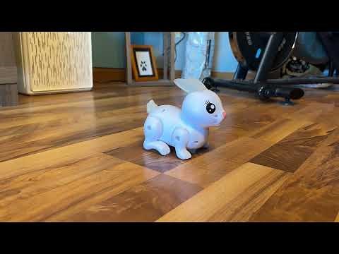 Review of Prextex Robot Easter Bunny Toy with Lights and Sound