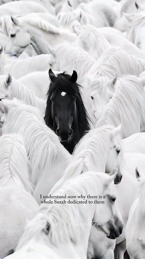 Understanding Surah 100: The Significance of Horses