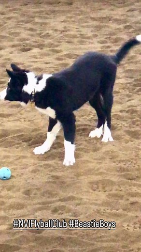 Jude de Vries on Reels