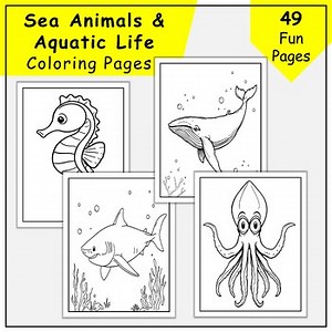 Aquatic Animals Coloring Pages for Kids: Explore The Sea life & Ocean Creatures