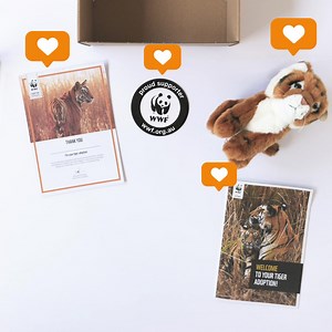 🎁 A tiger adoption is the ultimate gift for any animal lover! Make their heart purr. 🐅 We'll send you an adoption gift pack which includes a cuddly tiger plush, adoption certificate & more. | WWF-Australia