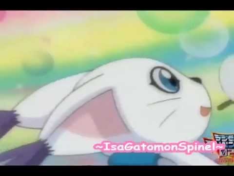 Gatomon X Veemon AMV ~Together~