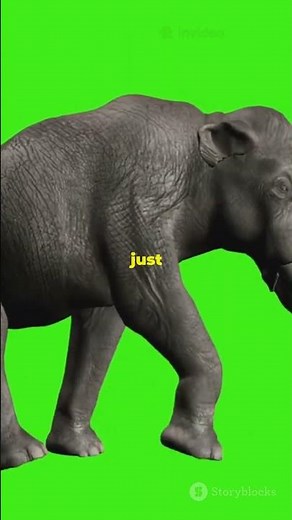 The Woolly Mammoth is Coming Back: De-extinction Explained