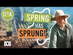 Spring Jobs to Start NOW | Gardening 101 | Gardening Australia