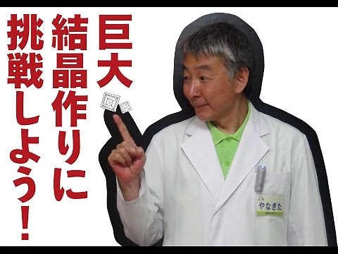 食塩の結晶を作る、簡単な方法
