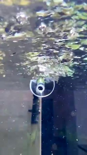 Super intelligent aquarium DIY #fishaquarium #fishtanksetup #trending #fish #fishtankideas #viral 71 | Aquatic Wonders Hub