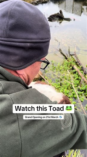 Something BIG is happening at Pond College next week… 👀🐟 Before the Grand Opening on 21st March, we’ll be going LIVE all week from the Pond Advisor Invitational — showing you the incredible water features being built. 📺 Watch the builds live: 18 March ⏰ 09:30 • 12:00 • 15:00 19 March ⏰ 09:30 • 12:00 • 15:00 • 18:30 🗳 Digital Choice voting opens 20 March ⏰ 09:30 • 12:00 • 15:00 21 March – GRAND OPENING ⏰ 09:30 Doors open 🏆 11:00 Awards ceremony Then come and see it in person 👇 📍 Water Feat