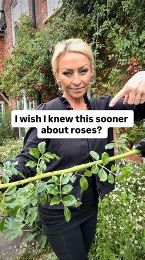 1.5M views · 24K reactions | ❗️I can’t believe how easy this is ‼️...