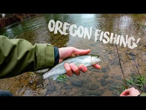 Struggling to find Steelhead in the PNW