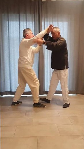 push hands tai chi chuan in Italy