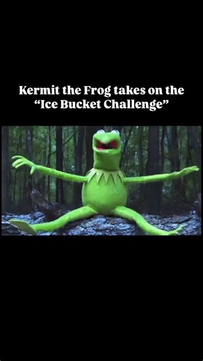 The Steve Whitmire Fan Club on Instagram: "the “ice bucket challenge” has had quite the resurgence, I’m seeing it all over my feed! In 2014 Kermit took the challenge for ALS, and we got a pretty wild emote because of it 😂 This trend was originally started to raise awareness for and support those living with ALS, as well as the ALS Foundation. Edit: the challenge has come back around for something different this time, it’s now done to raise awareness for mental health organizations! #SpeakYourMI