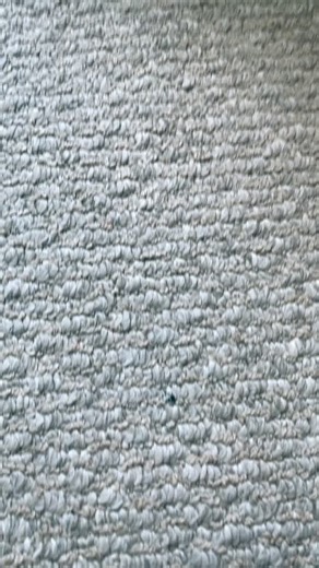 #fidgettoys #trading #fidgets #diyfidgettoys #tradingfidgettoys