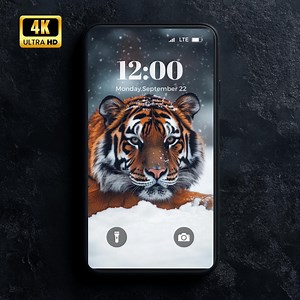 4K Tiger Phone Wallpaper, Digital Background, Apple & Android Wallpaper, Wild Animal Nature Background, High Quality - Etsy