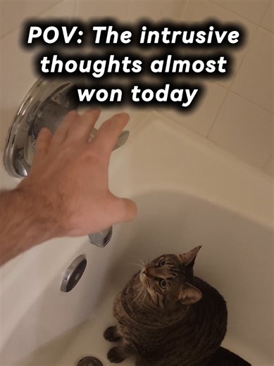 Understanding Intrusive Thoughts in Cats